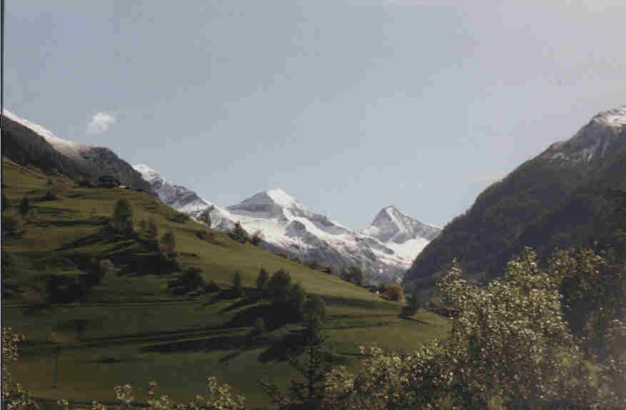 Dsental
