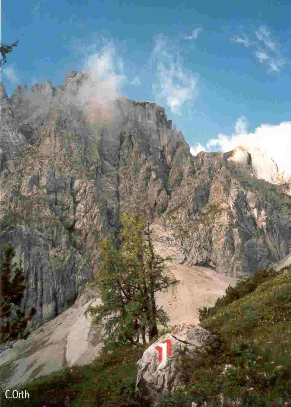 Rückseite der Mandelwand