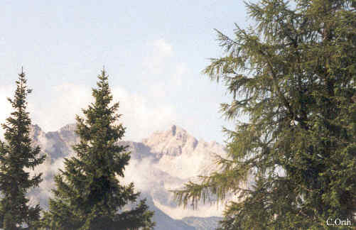 pertisau